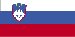 slovenian Indiana - Valsts nosaukums (filiāle) (lappuse 1)