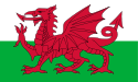 welsh Indiana - Valsts nosaukums (filiāle) (lappuse 1)